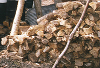Thumb firewood